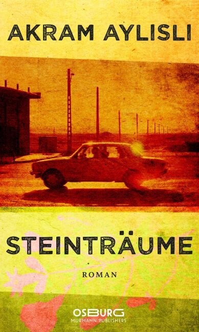 Steintraume (Hardcover)