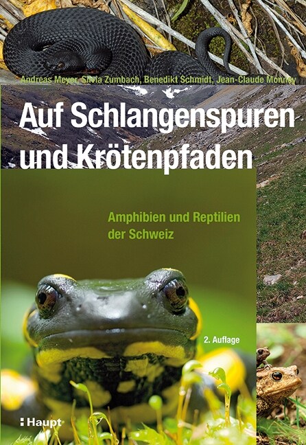 Auf Schlangenspuren und Krotenpfaden (Hardcover)