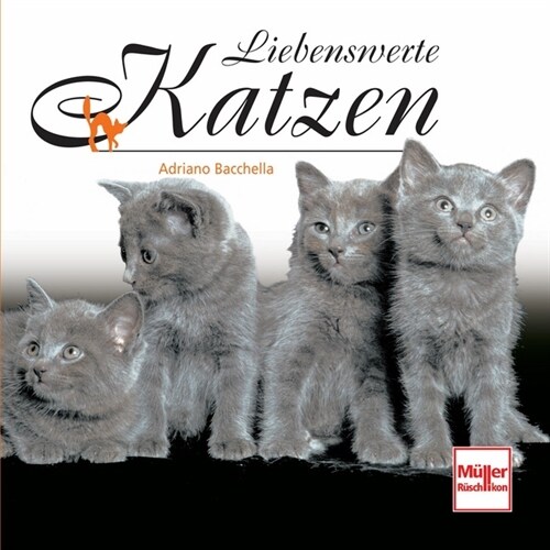 Liebenswerte Katzen (Hardcover)