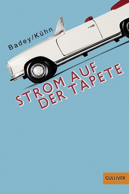 Strom auf der Tapete (Paperback)