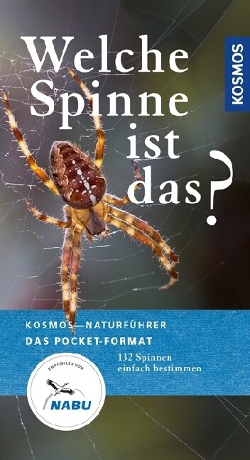 Welche Spinne ist das？ (Paperback)