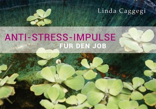 Anti-Stress-Impulse fur den Job (Paperback)