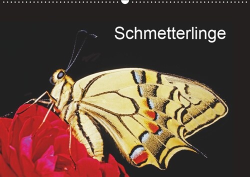 Schmetterlinge (Wandkalender 2019 DIN A2 quer) (Calendar)