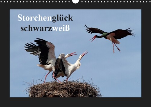 Storchengluck schwarzweiß (Wandkalender 2019 DIN A3 quer) (Calendar)