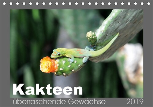 Kakteen - uberraschende Gewachse (Tischkalender 2019 DIN A5 quer) (Calendar)