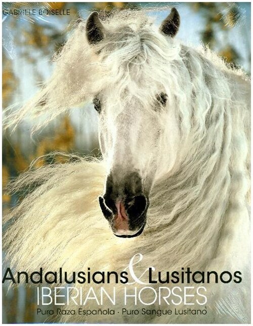 Andalusians & Lusitanos Iberian Horses (Hardcover)