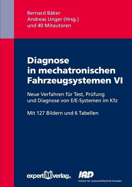 Diagnose in mechatronischen Fahrzeugsystemen VI (Paperback)