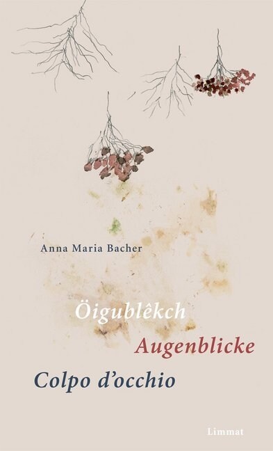 Oigublekch / Augenblicke / Colpo docchio (Hardcover)