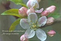 Cardbox of 20 Notecards and Envelopes: Apple Blossom (Cards)