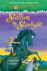 Stallion by Starlight (Hardcover)