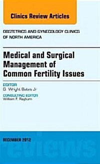 Medical and Surgical Management of Common Fertility Issues, an Issue of Obstetrics and Gynecology Clinics (Hardcover)