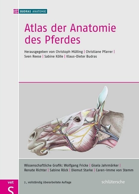 Atlas der Anatomie des Pferdes (Hardcover)