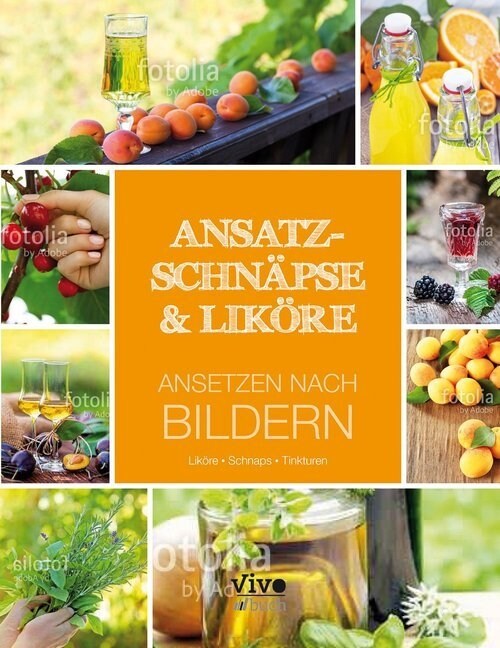 Ansatzschnapse & Likore (Hardcover)