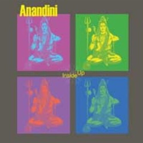 Anandini- Inside Up - Audio-CD (Book)