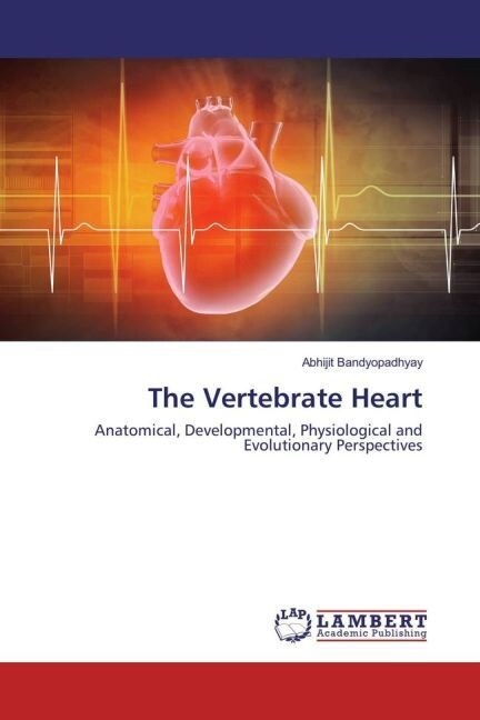 The Vertebrate Heart (Paperback)