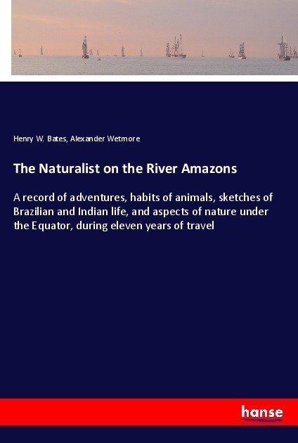 The Naturalist on the River Amazons: A record of adventures, habits of animals, sketches of Brazilian and Indian life, and aspects of nature under the (Paperback)
