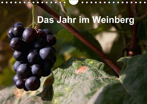 Das Jahr im Weinberg (Wandkalender 2018 DIN A4 quer) (Calendar)