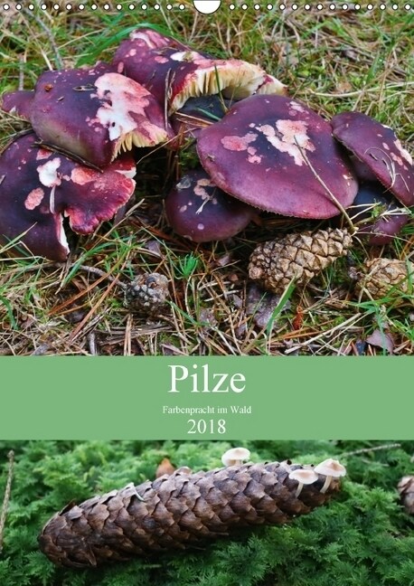 Pilze - Farbenpracht im Wald (Wandkalender 2018 DIN A3 hoch) (Calendar)