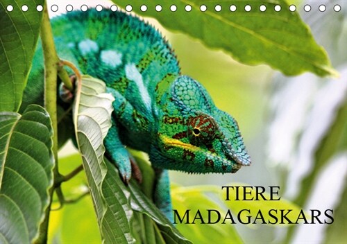 Tiere Madagaskars (Tischkalender 2019 DIN A5 quer) (Calendar)