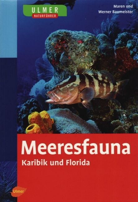 Meeresfauna (Paperback)