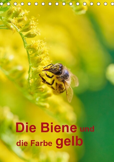 Die Biene und die Farbe gelb (Tischkalender 2019 DIN A5 hoch) (Calendar)