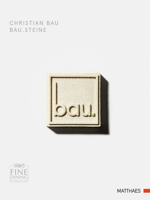 bau.steine (Hardcover)