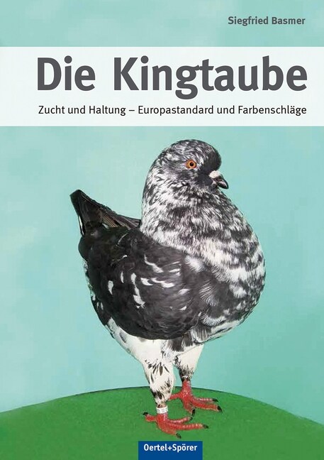 Die Kingtaube (Hardcover)