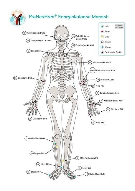 Akupunktur-Tafel Mensch (General Merchandise)