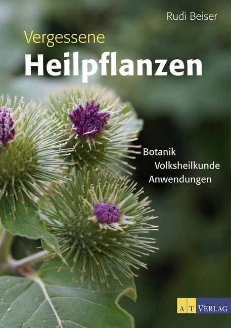 Vergessene Heilpflanzen (Hardcover)