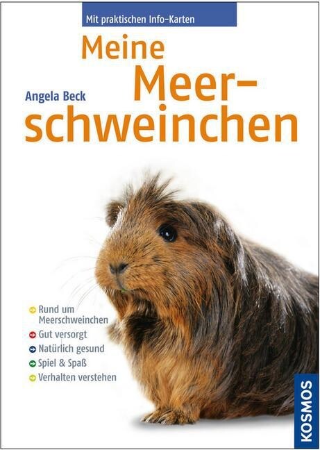 Meine Meerschweinchen (Paperback)