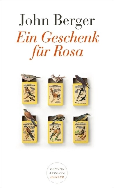 Ein Geschenk fur Rosa (Paperback)