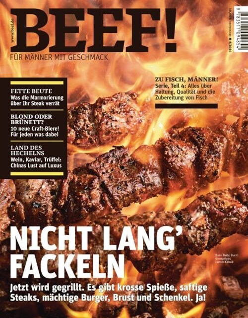 Nicht lang fackeln (Paperback)