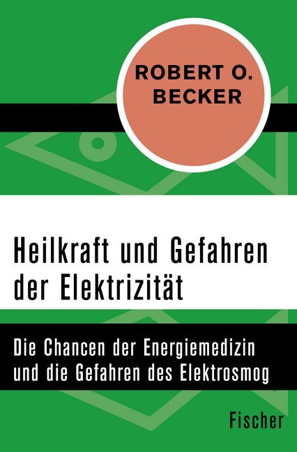 Heilkraft und Gefahren der Elektrizitat (Paperback)