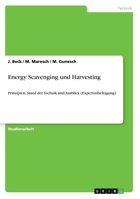 Energy Scavenging und Harvesting: Prinzipien, Stand der Technik und Ausblick (Expertenbefragung) (Paperback)