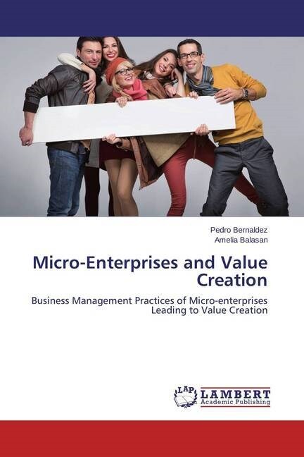 Micro-Enterprises and Value Creation (Paperback)