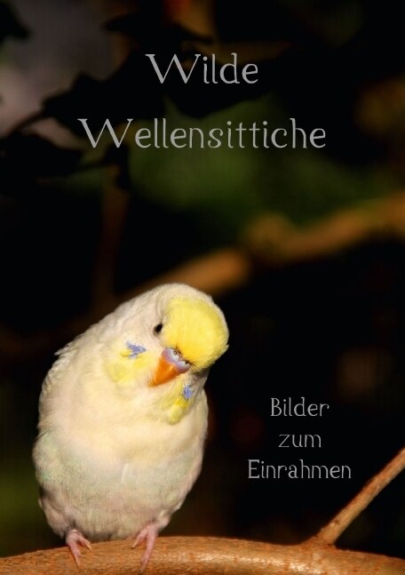 Wilde Wellensittiche - Bilder zum Einrahmen! (Tischaufsteller DIN A5 hoch) (Paperback)