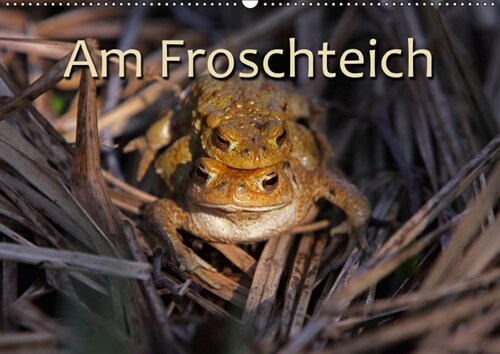 Am Froschteich / CH-Version (Wandkalender 2019 DIN A2 quer) (Calendar)