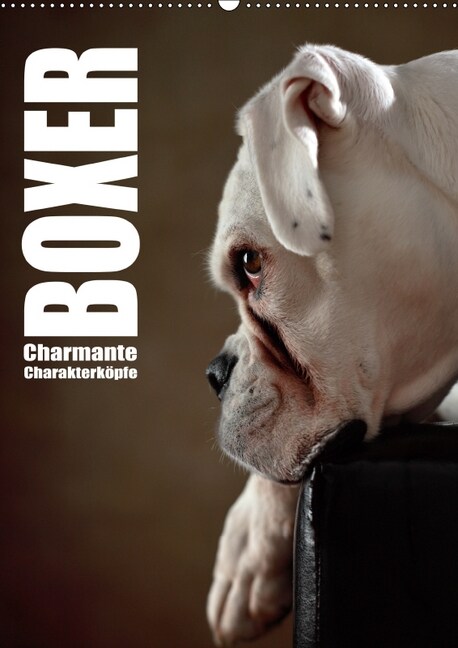 Boxer - Charmante Charakterkopfe (Wandkalender 2019 DIN A2 hoch) (Calendar)