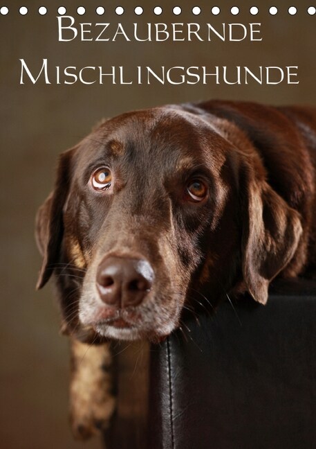 Bezaubernde Mischlingshunde (Tischkalender 2019 DIN A5 hoch) (Calendar)