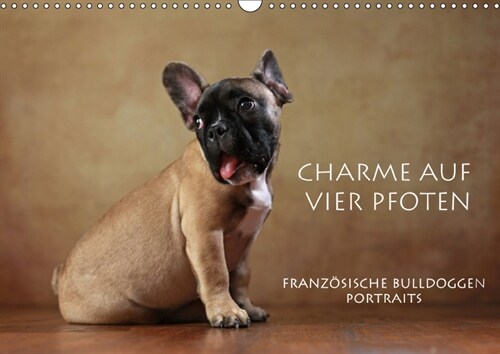 Charme auf vier Pfoten - Franzosische Bulldoggen Portraits (Wandkalender 2019 DIN A3 quer) (Calendar)
