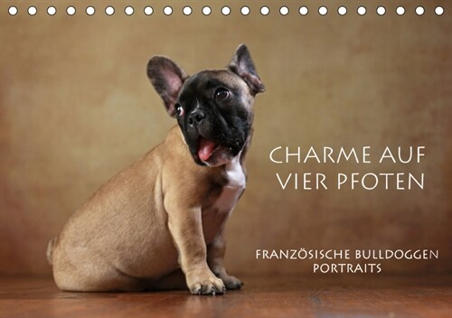 Charme auf vier Pfoten - Franzosische Bulldoggen Portraits (Tischkalender 2019 DIN A5 quer) (Calendar)