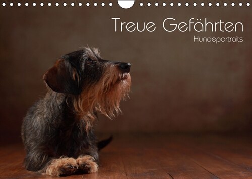 Treue Gefahrten - Hundeportraits (Wandkalender 2019 DIN A4 quer) (Calendar)