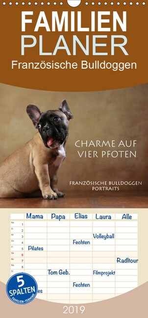 Charme auf vier Pfoten - Franzosische Bulldoggen Portraits - Familienplaner hoch (Wandkalender 2019 , 21 cm x 45 cm, hoch) (Calendar)