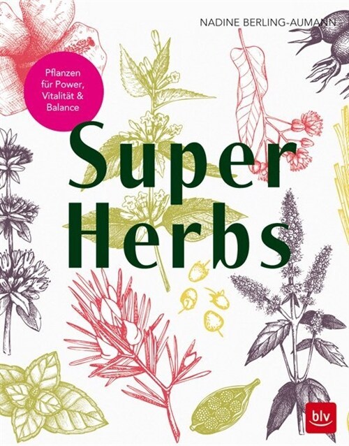 Super Herbs (Paperback)