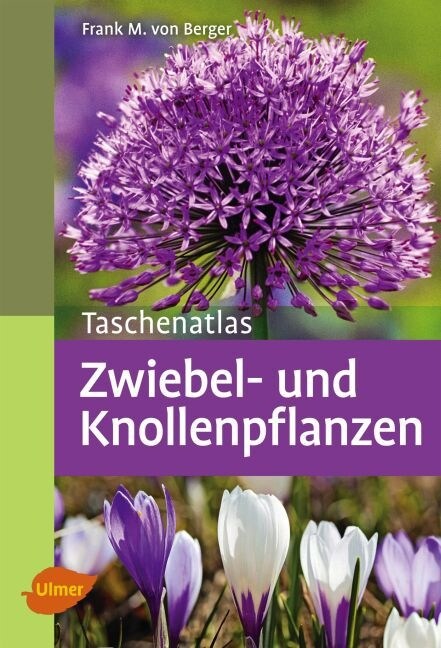 Taschenatlas Zwiebel- und Knollenpflanzen (Paperback)