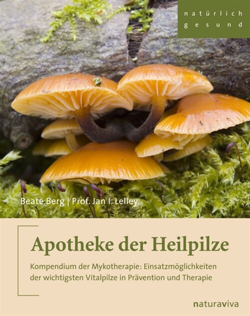 Apotheke der Heilpilze (Paperback)