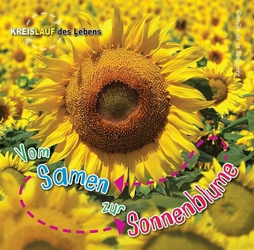 Vom Samen zur Sonnenblume (WW)