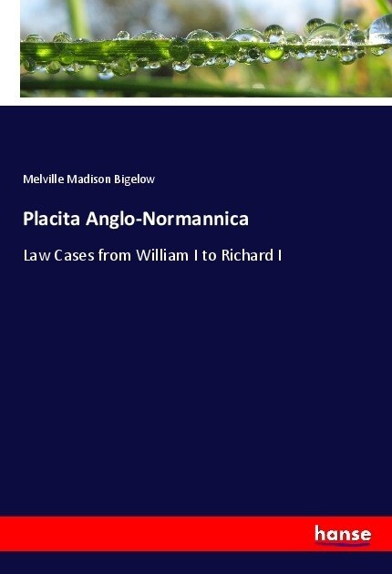 Placita Anglo-Normannica (Paperback)