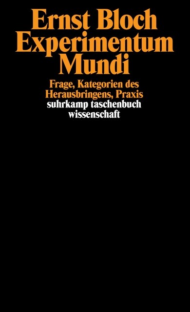 Experimentum mundi (Paperback)