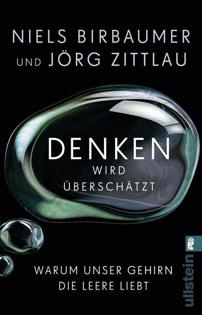 Denken wird uberschatzt (Paperback)